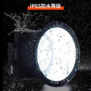 旋風(fēng)單罩投光燈4外0W戶(hù)外碼 頭防水高桿燈01500W廣場(chǎng)球場(chǎng)塔吊戶(hù)大
