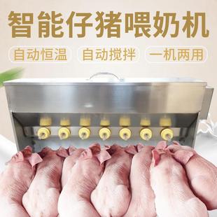 不锈钢仔猪喂奶机双面恒温妈妈机自动哺乳羔羊加热恒温小猪吃奶器