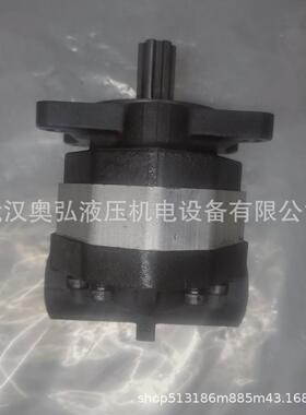 CBFC-25 32SDS 40 5 063齿 型花键右旋四安装轮泵吊车孔液压泵