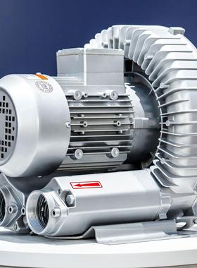 RB-21D2 38高压气功泵 率0.k-w漩涡式高4压气泵