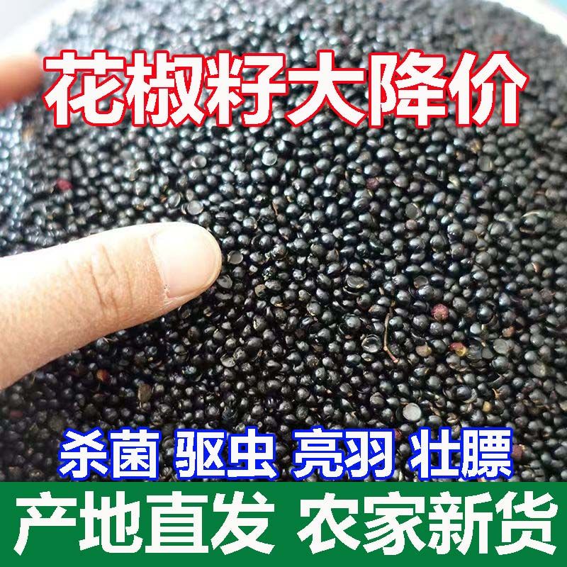 鸽用花椒籽泡脚育苗散装