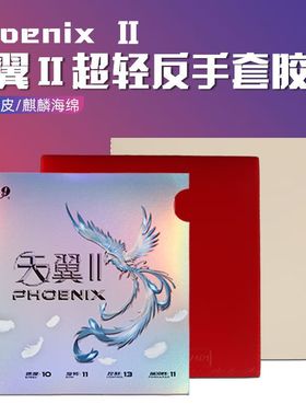 友谊729天翼2乒乓球拍胶皮球拍反胶粘性超轻反手专业训练