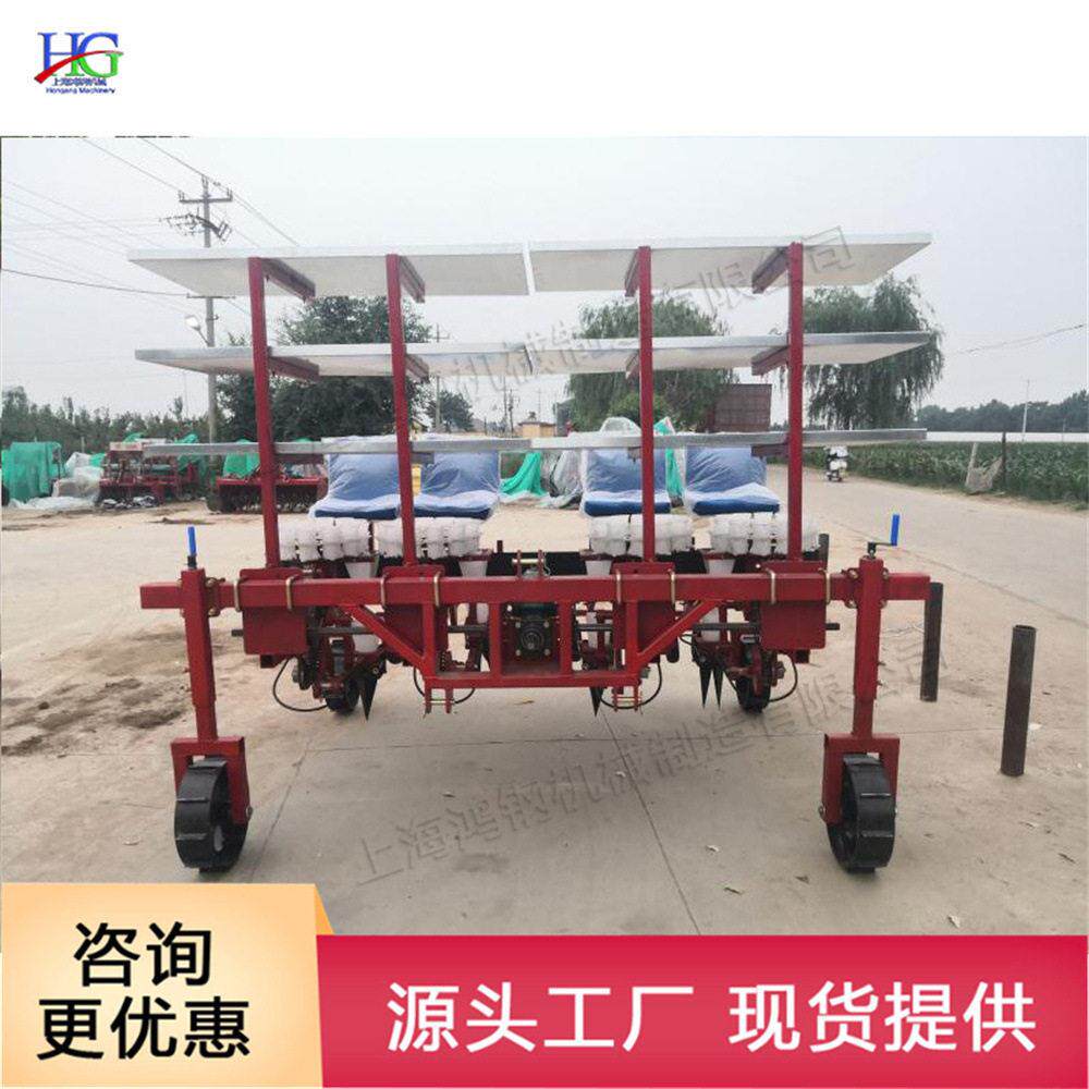 蔬果苗木多行移栽机拖拉机后置式秧苗种植机辣椒苗栽种设备