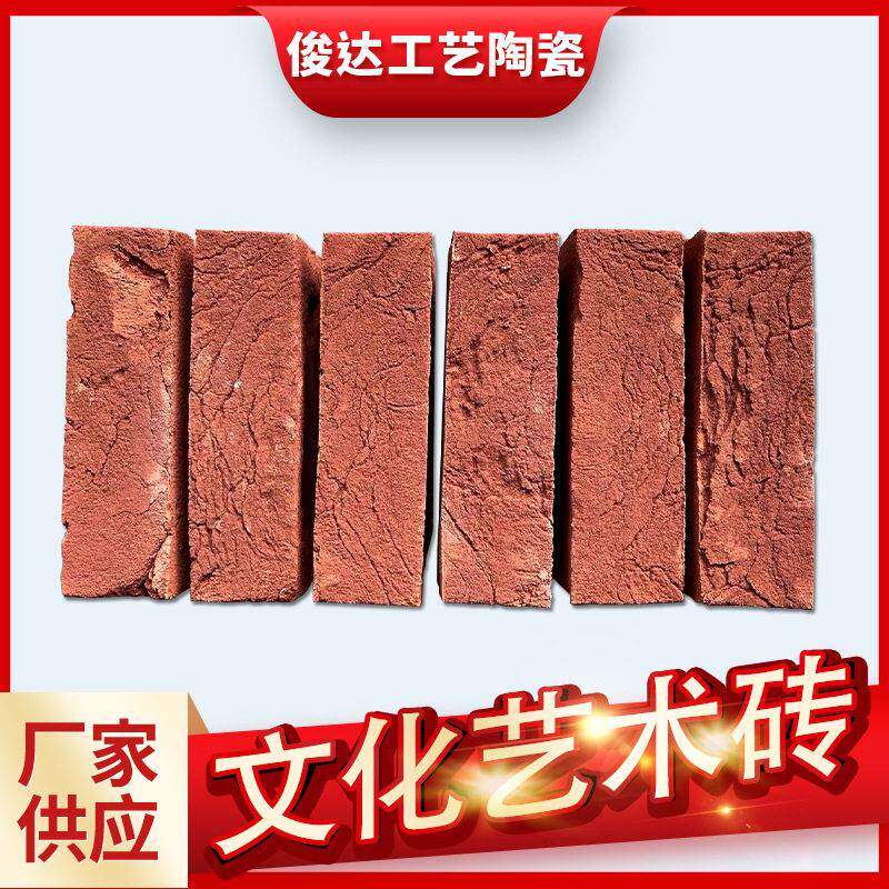 厂家供应外墙砖文化艺术砖家用别墅外墙陶土砖室内背景墙砖