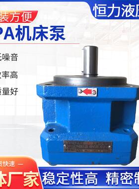 GPA机床泵GPA2-10-E-20-R6.3磨床发泡机泵内啮合齿轮油泵