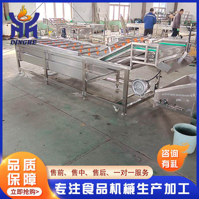 洗大型苹果水果全CYI自 动气泡清洗机设海蛎子泡椒小备银鱼清机