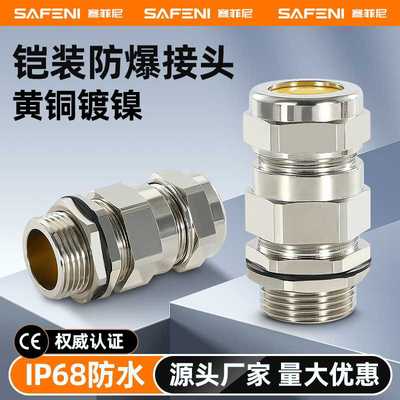 双密封铠装金属铜镀镍防爆格兰头电缆防水接头船用填料函接管式