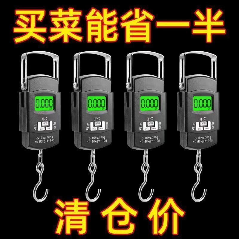 德国进口迷你手提秤电子秤50kg便携式高精度家用快递称弹簧秤