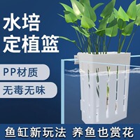 鱼缸水草定植篮水培固定篮乌龟缸可升降可调节造景装饰周转箱挂篮