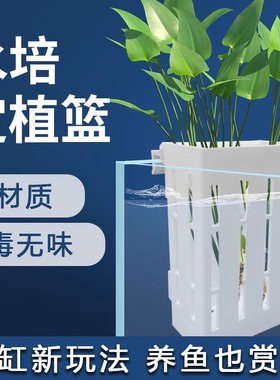 鱼缸水草定植篮水培固定篮乌龟缸可升降可调节造景装饰周转箱挂篮