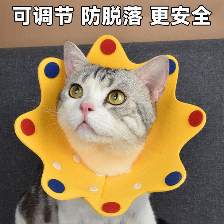伊丽莎白圈猫咪狗狗项圈围脖头套绝育防舔舐犬猫圈防咬宠物耻辱圈,宠物/宠物食品及用品,宠物伊丽莎白圈,淘宝优惠券,粉丝福利购,淘宝优惠卷