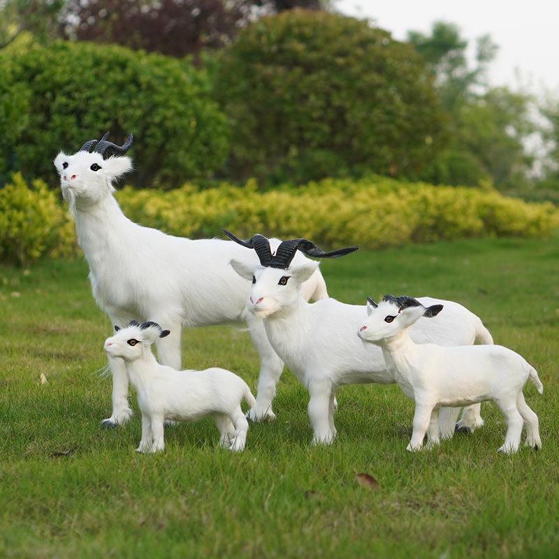 羊皮彷真山羊绵羊动物模型商超奶粉店橱柜装饰摆件教学道具工艺品