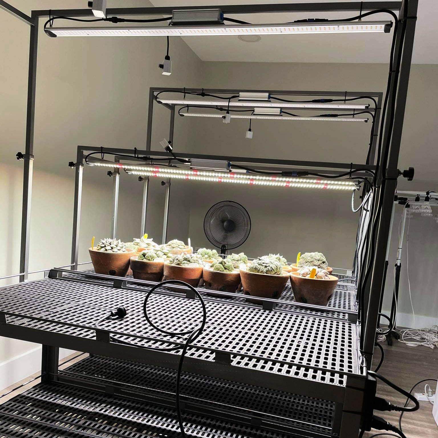 Helios Xp Led全光谱植物生长灯填充光多肉植物