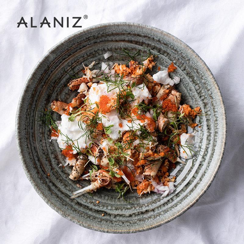 alaniz南兹novo欧式斗笠碗螺纹浅口碗陶瓷家用菜碗拌面 面碗米线