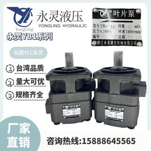 125叶片泵 6.3 12.5 100 仙居YCL永灵YB1