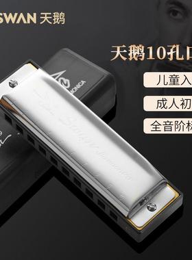 天鹅10孔布鲁斯蓝调初学者口琴A/B/C/D/E/F/G/A#/C#/D#/F#/G#12调