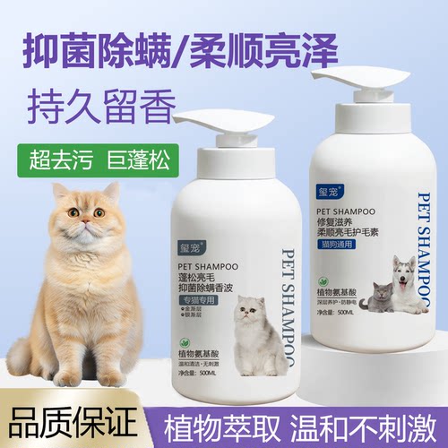金渐层银渐层猫咪沐浴露抑菌除螨蓬松柔顺除臭留香持久猫咪洗澡液