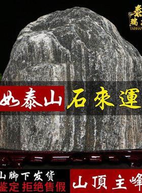 正宗泰山石敢当室内外天然原石泰山正宗大型靠山石景观石家用摆件