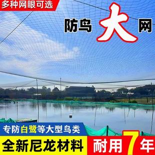 鱼塘防鸟网大网眼尼龙综丝纱网防鸟用的网泥鳅塘天网养殖网螃蟹网