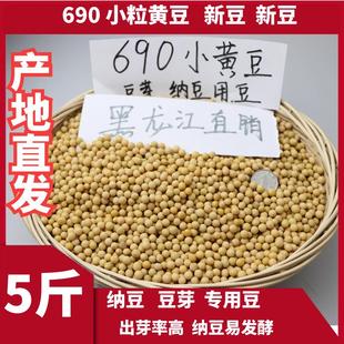 2025新粮非转基因极小粒690黄豆生发豆芽纳豆专用小黄金黄豆浆5斤