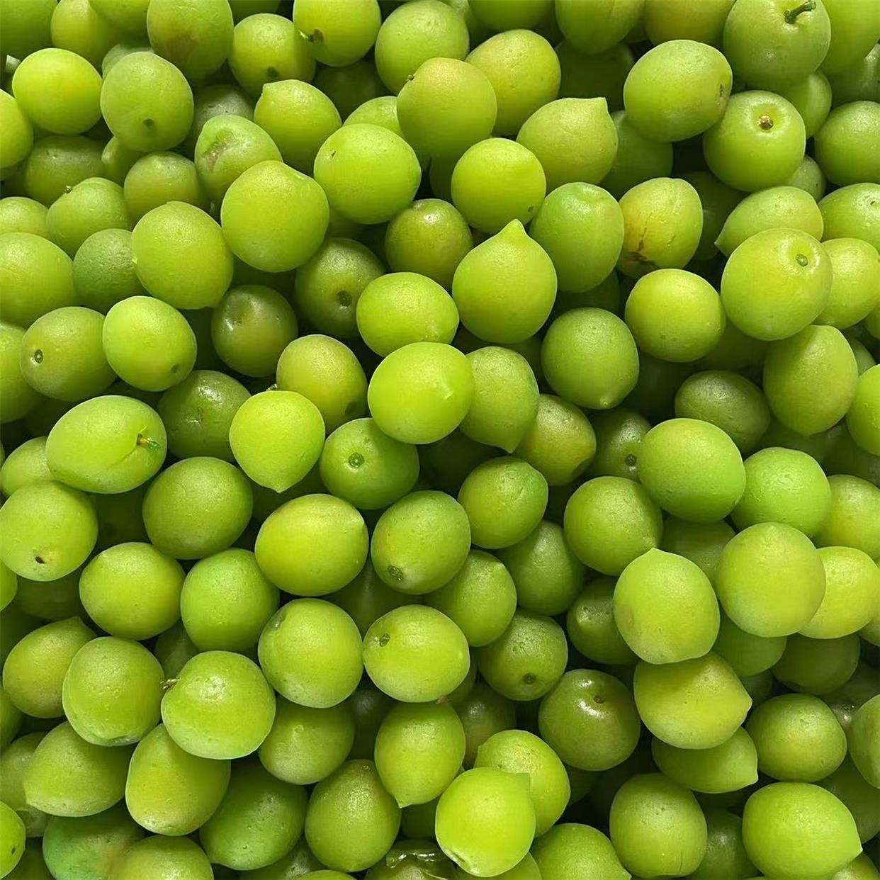 爽口梅脆青梅脆梅鲜果梅子独立小包装水果青口梅追剧果脯蜜饯零食