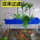鱼缸沼泽过滤器乌龟滴流盒净水循环过滤三合一免托架周转箱过滤