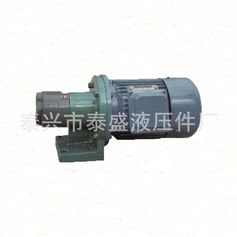 S-16A S-10A S-6A减速机输油泵电机组S-25A 20 32AU齿轮泵装置CB-