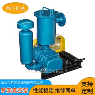 微型罗茨真空泵立式 厂家定制水环式 增压泵全自动小型罗茨真空泵