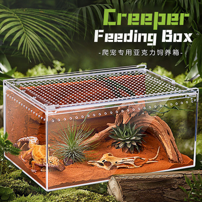 爬宠亚克力饲养盒生态缸