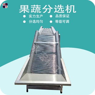 水果 蔬菜 生鲜 土豆 龙眼 荔枝 分选机选果机大小分拣不伤果食品