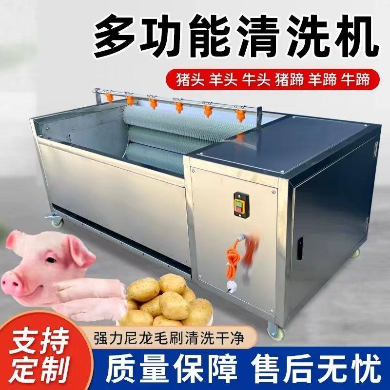 全自动猪头猪蹄清洗机羊头羊蹄牛头清洗机毛刷田螺清洗去黑机小型,厨房电器,其他商用厨电,淘宝优惠券,粉丝福利购,淘宝优惠卷