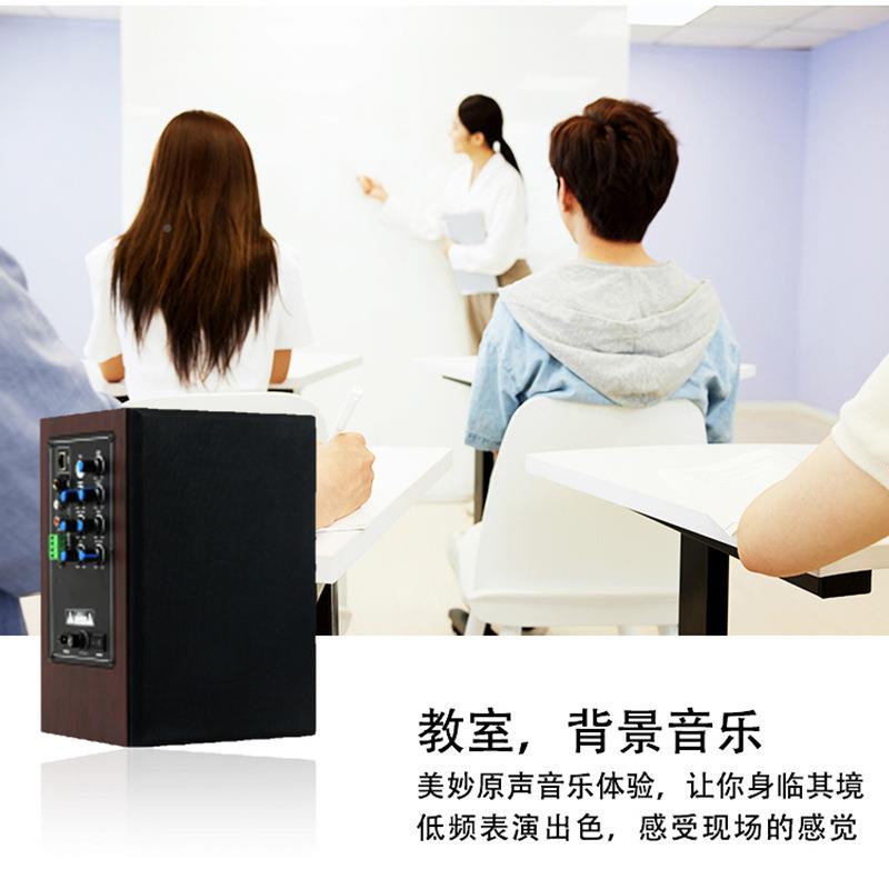 IP网络音箱-H401扩声庭学家校会议外演出户操场扩声校广播音园响