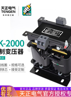 天正BK-2000VA单相隔离控制变压器380变220V全铜线圈1103624V
