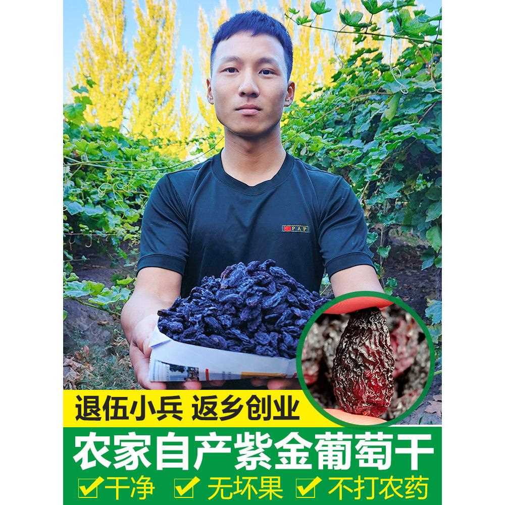 新疆包邮新疆特产干货大颗葡萄吐鲁番风干大果免洗提子干500g带籽