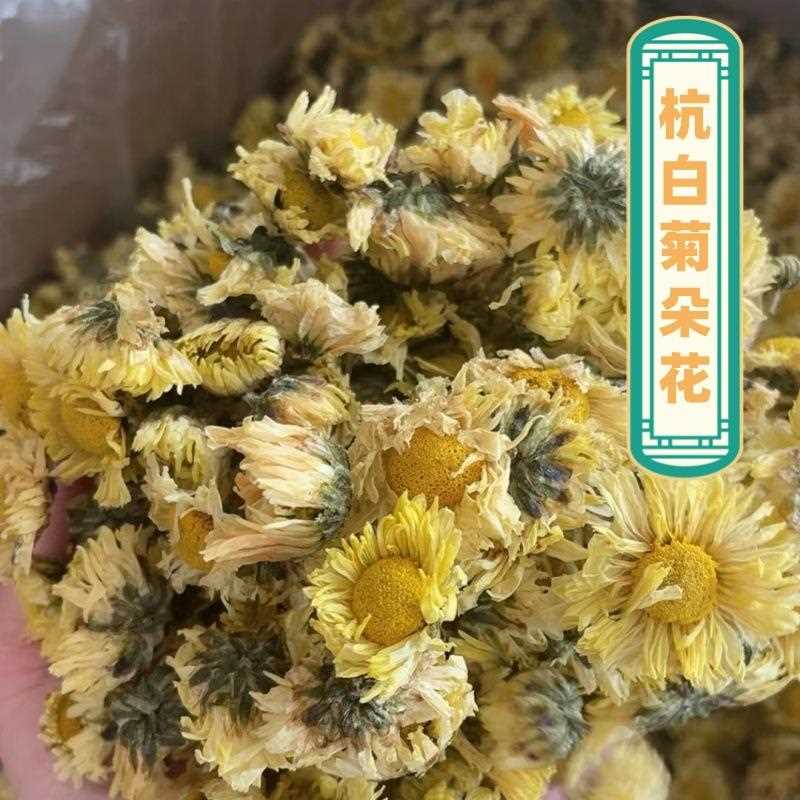 新货北京胎菊江苏胎菊菊花茶杭白菊朵花胎菊米散装源产地厂家