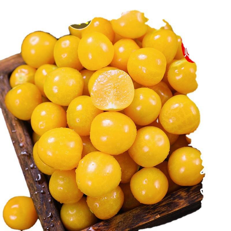 东北姑娘果当季水果5斤黄菇娘甜洋灯笼果红菇娘整箱3