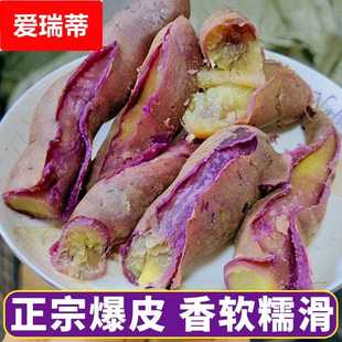 广州南沙一点红番薯 农家沙地红薯新鲜现挖紫心蜜薯地瓜甘薯