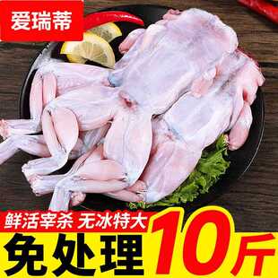 牛蛙鲜活新鲜特大田鸡蛙肉半成品牛蛙腿牛蛙肉冷冻商用石蛙10