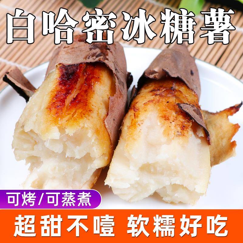 山东哈密冰糖薯新鲜白心蜜薯超甜农家自种红薯美味营养地瓜现摘