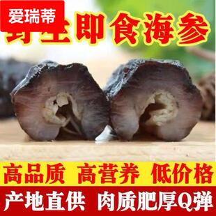 即食海参大乌参赤虫参野生个大肉厚冷冻饭店餐饮酒店茄参海茄子