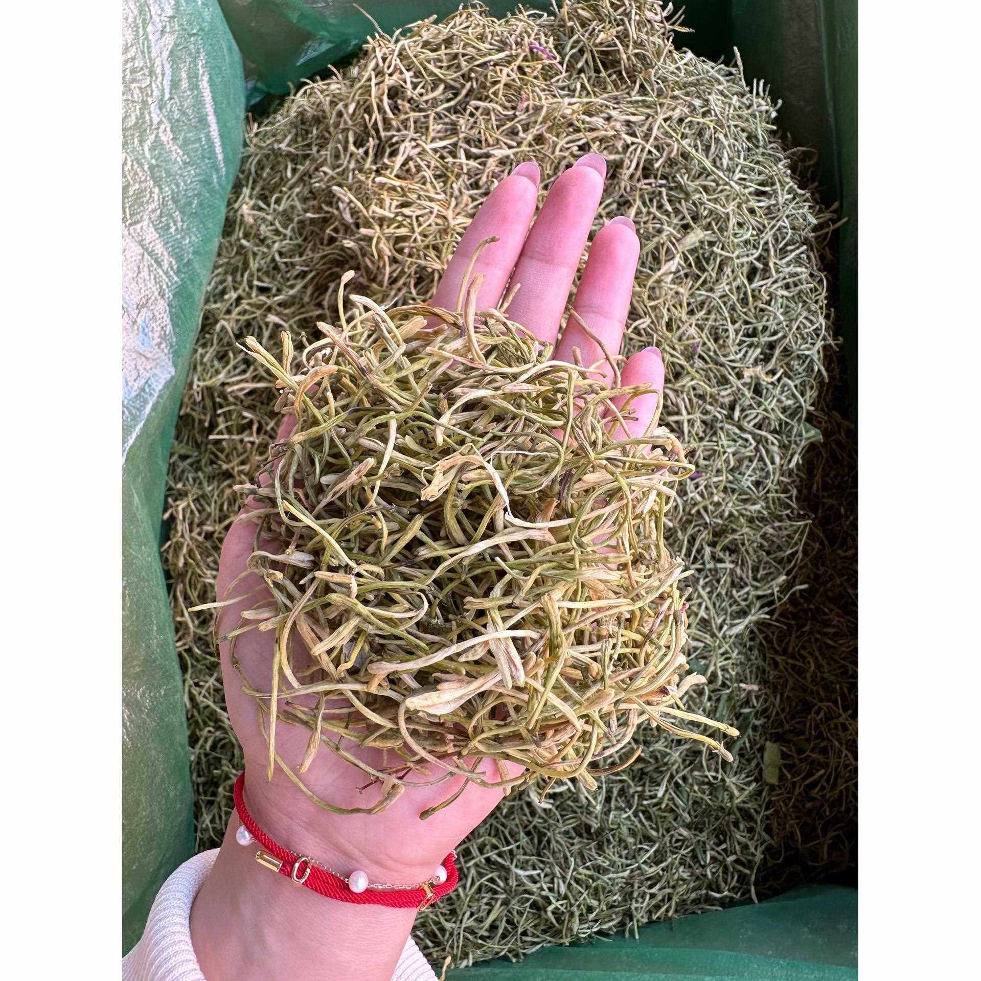 河南封丘金银花散装 金银花 一手货源支持药检量大从优