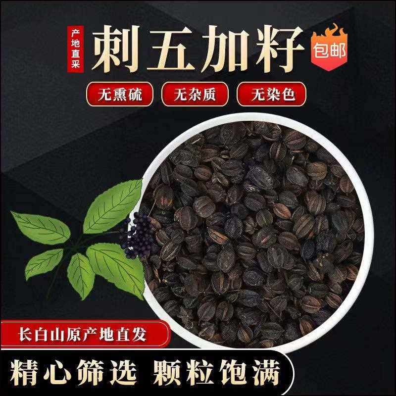 厂家刺五加籽长白山新鲜刺五加果实泡酒泡茶刺五籽果