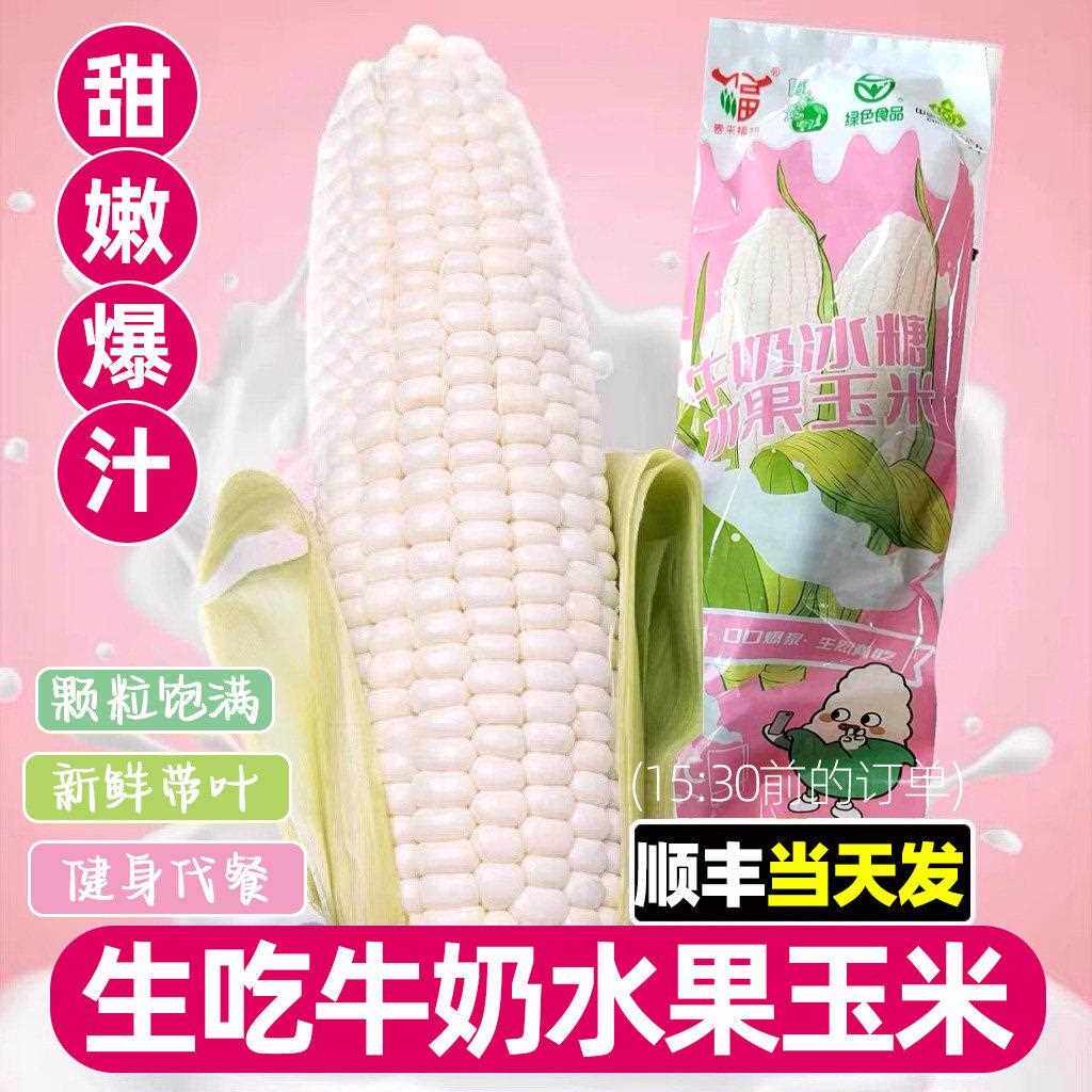 现摘现发新鲜爆浆冰糖甜牛奶水果玉米开袋即食可生吃苞米粒