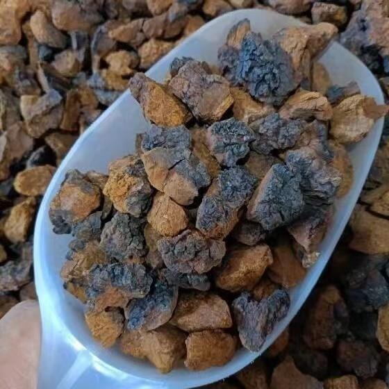 【厂家直售】大块桦树茸切块白桦茸茶桦树黑金桦树茸中桦褐孔菌