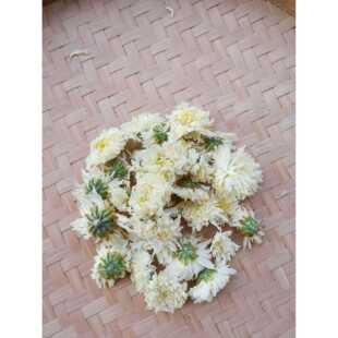 新七月菊花安徽黄现山白菊茶花厂家直供散大量500克菊 花茶货