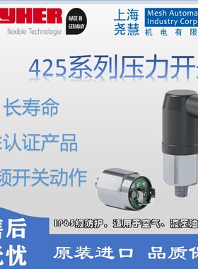 德国LAYHER压力开关 50-200bar NO VITON Seal G1/4