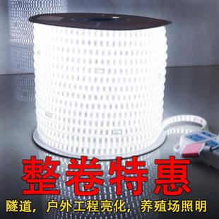 包邮 超亮 灯带led软工地养殖塔吊防雨照明长条灯220V家用室外灯带