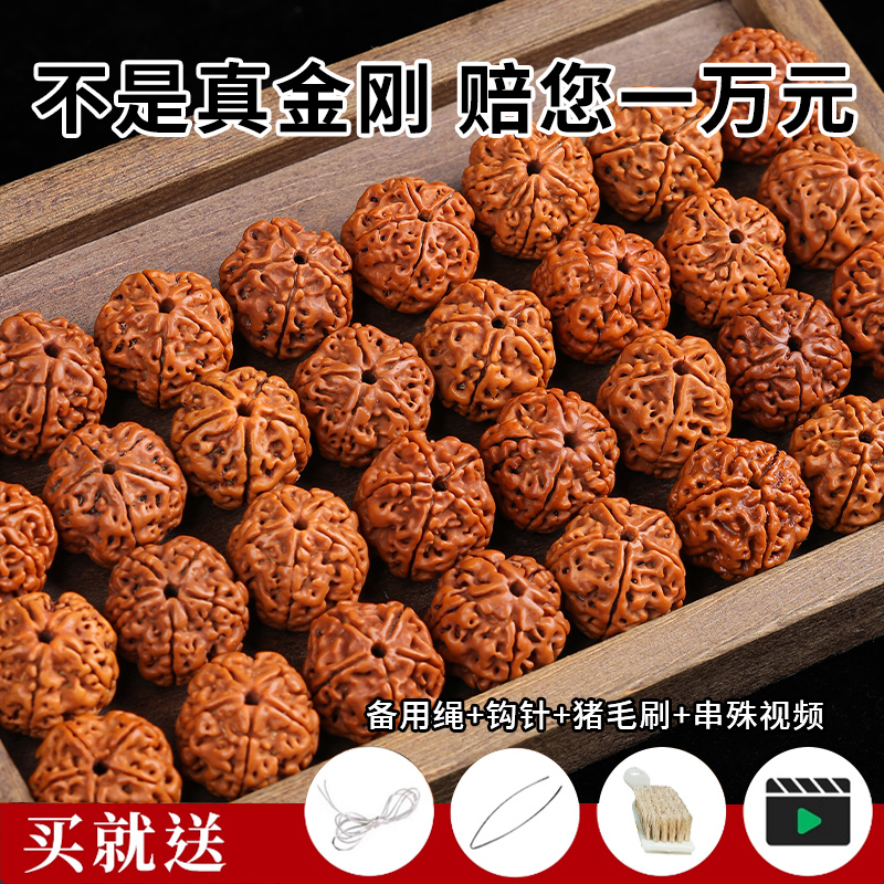 精选大金刚尼泊尔爆肉散珠文玩手工DIY核桃原籽菩提手串佛珠配珠