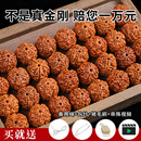 精选大金刚尼泊尔爆肉散珠文玩手工DIY核桃原籽菩提手串佛珠配珠