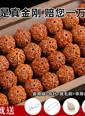 精选大金刚尼泊尔爆肉散珠